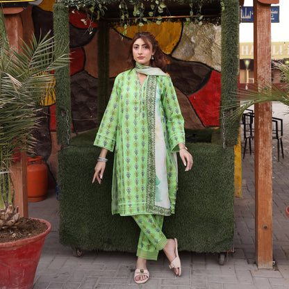 3PC Stitched Printed Lawn Suit - H309