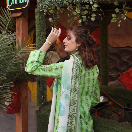 3PC Stitched Printed Lawn Suit - H309