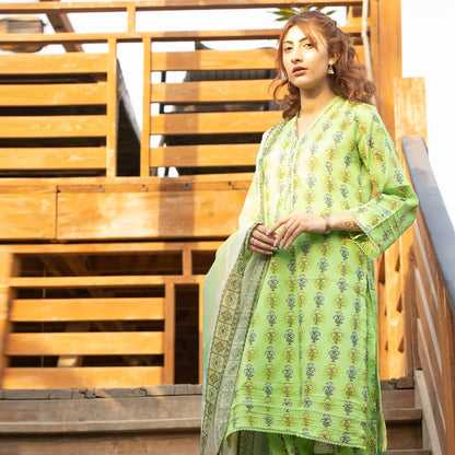 3PC Stitched Printed Lawn Suit - H309